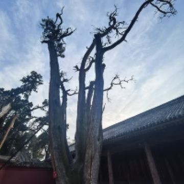 評論圖片 4