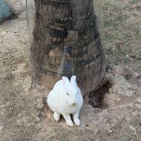評論圖片 7