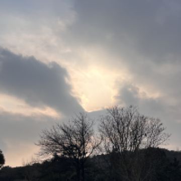 評論圖片 1