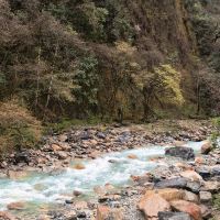 評論圖片 2