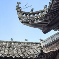 評論圖片 1