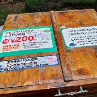 評論圖片 7