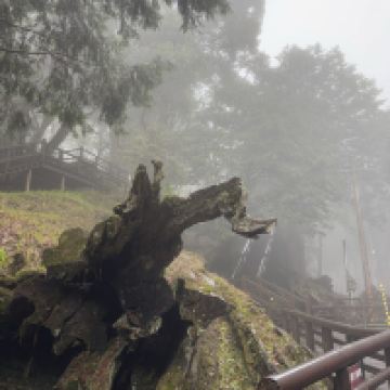 評論圖片 4