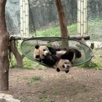 評論圖片 4