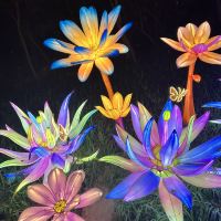 評論圖片 2