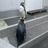 評論圖片 4