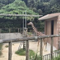 評論圖片 3