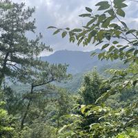 評論圖片 3