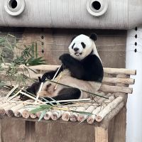 評論圖片 6