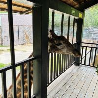 評論圖片 4