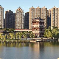 評論圖片 5