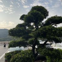 評論圖片 2