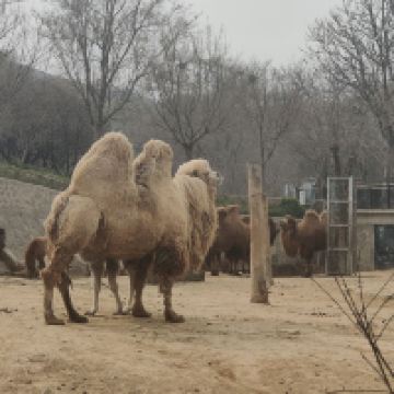 評論圖片 7