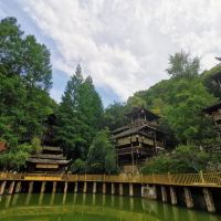 評論圖片 3