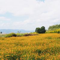 評論圖片 4