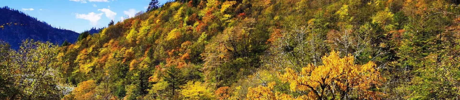 Attrazioni per la visione autunnale