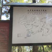 評論圖片 8