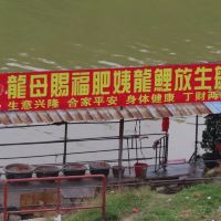 評論圖片 1