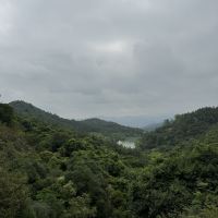 評論圖片 5