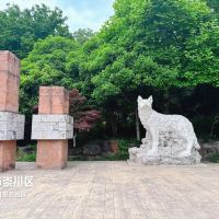 評論圖片 1