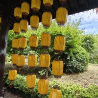 評論圖片 2