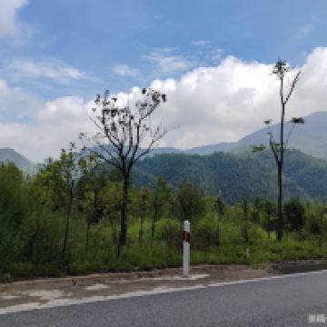 評論圖片 6