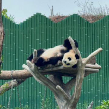 評論圖片 4