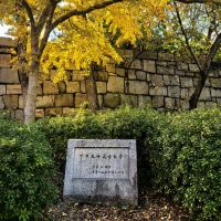 評論圖片 3
