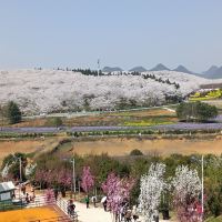 評論圖片 3