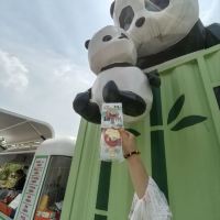 評論圖片 7