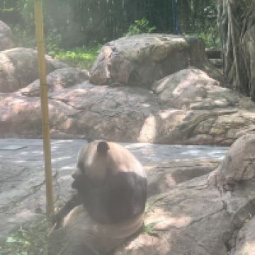 評論圖片 5