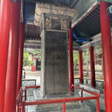 評論圖片 6