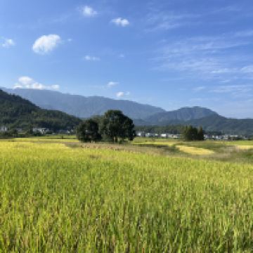 評論圖片 2