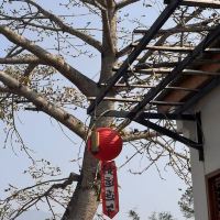 評論圖片 1