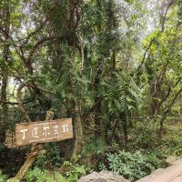 評論圖片 5