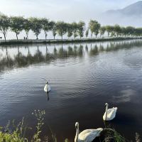 評論圖片 3