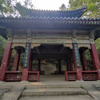 評論圖片 1