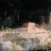 評論圖片 8