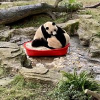 評論圖片 3