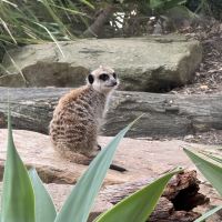 評論圖片 7