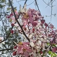 評論圖片 5
