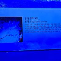 評論圖片 1
