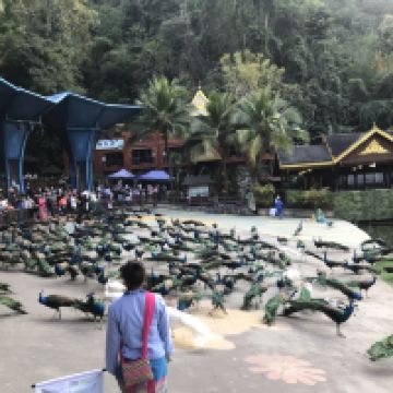 評論圖片 4