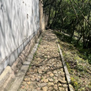 評論圖片 6