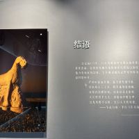 評論圖片 3