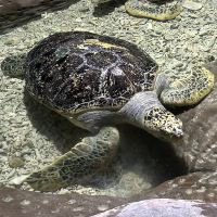 評論圖片 3