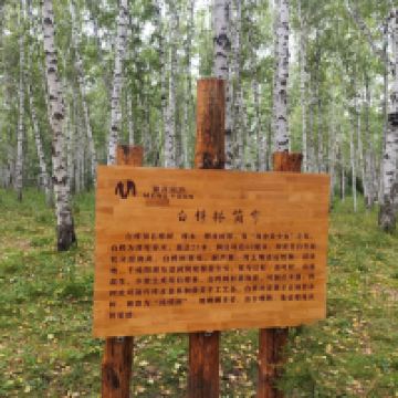 評論圖片 2
