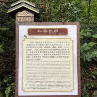 評論圖片 5