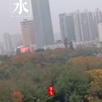 評論圖片 1