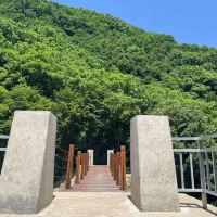 評論圖片 6